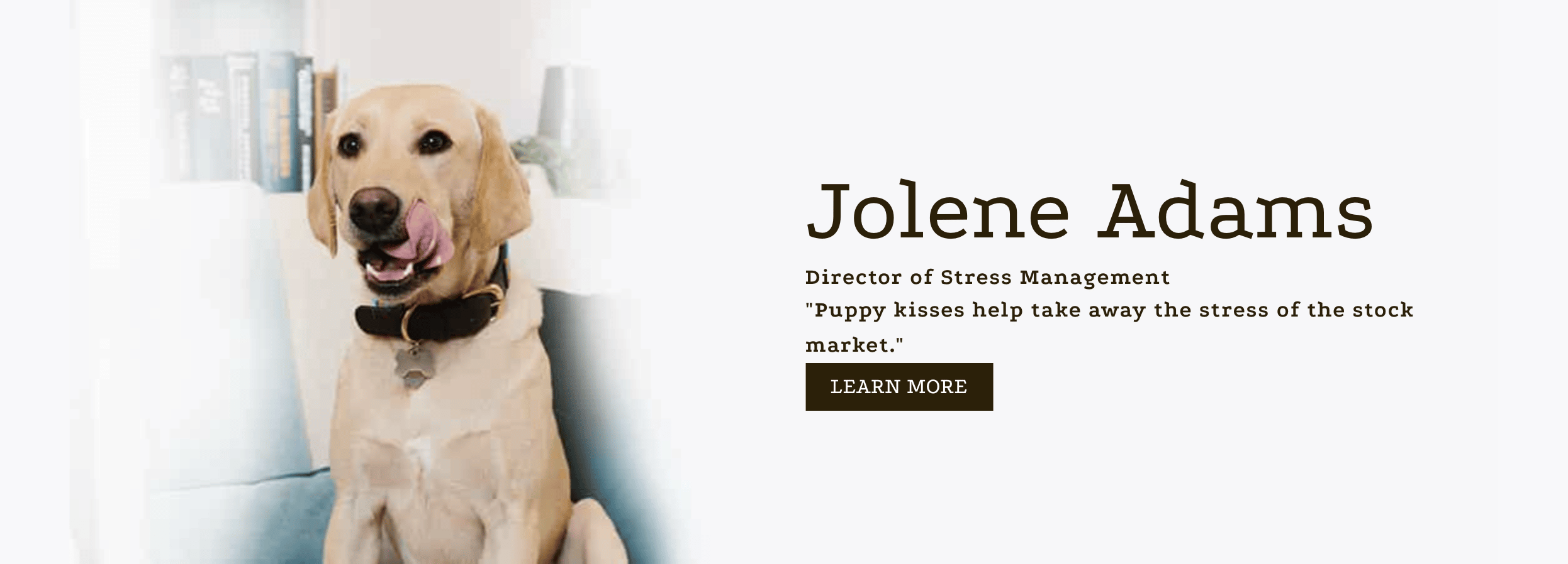 8 - Jolene Adams